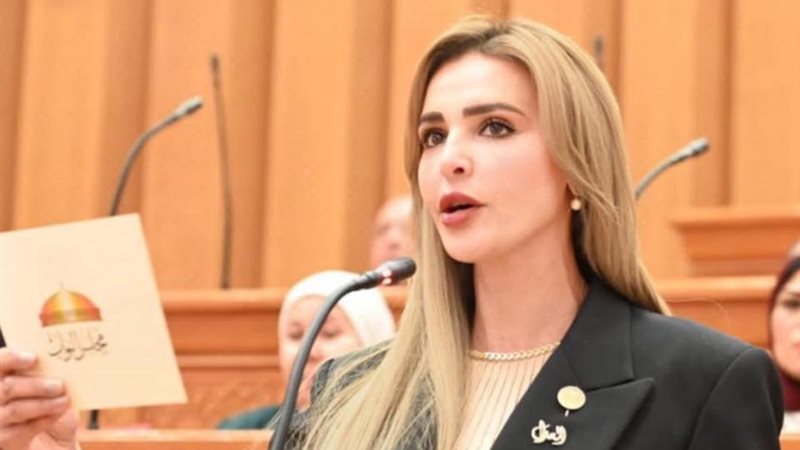 النائبة مروة حسين