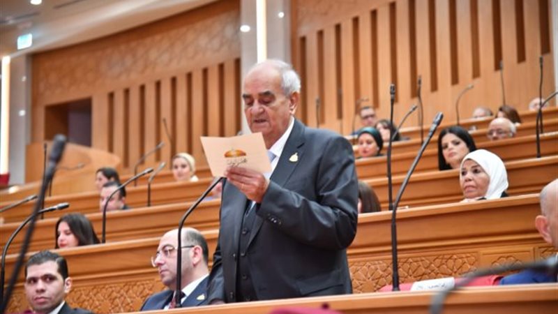 النائب المستشار عيد محجوب