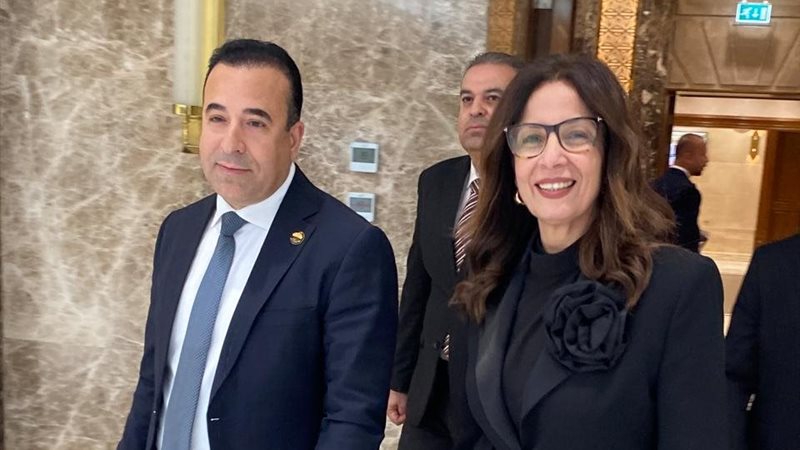 وزيرة الثقافة 