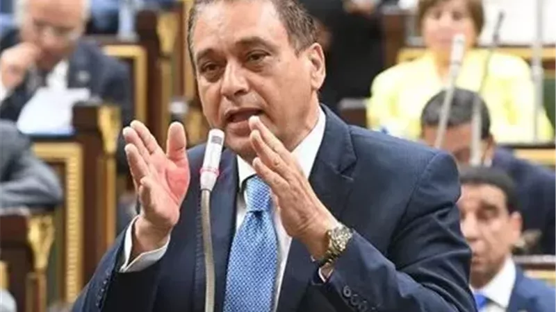 النائب علاء فؤاد