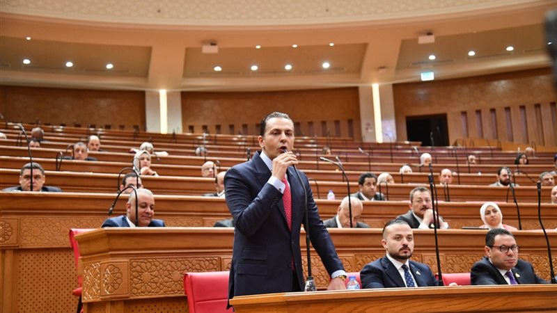 النائب أحمد عبدالجواد