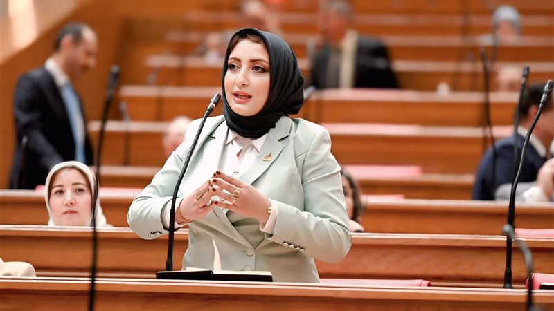  النائبة المهندسة