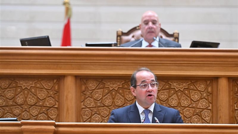 وزير المالية 