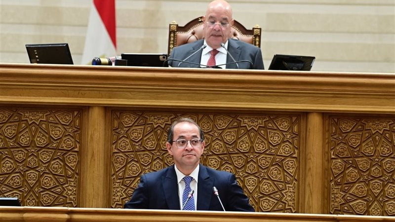 وزير المالية