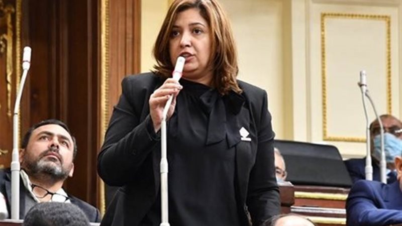 النائبة أميرة العادلي