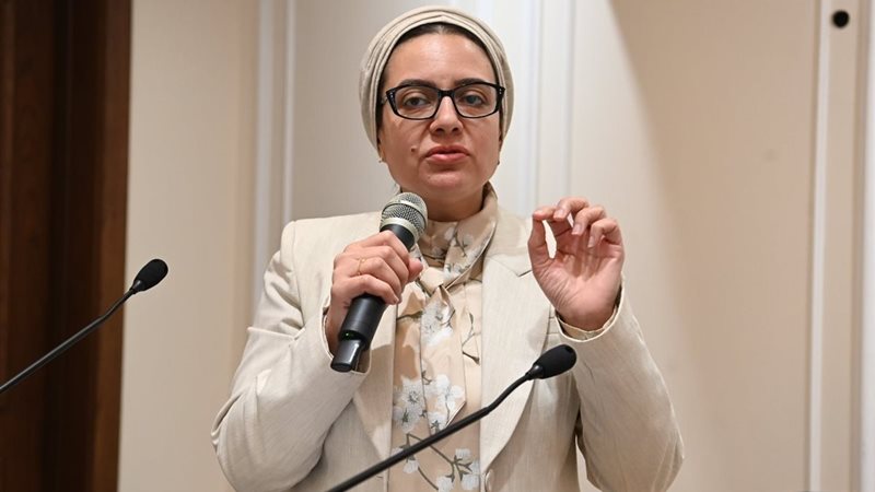 النائبة ريهام عبد النبي 