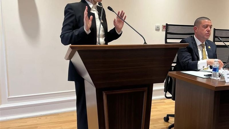 النائبة صافيناز طلعت 