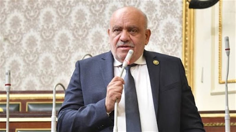 النائب سيد حنفي طه