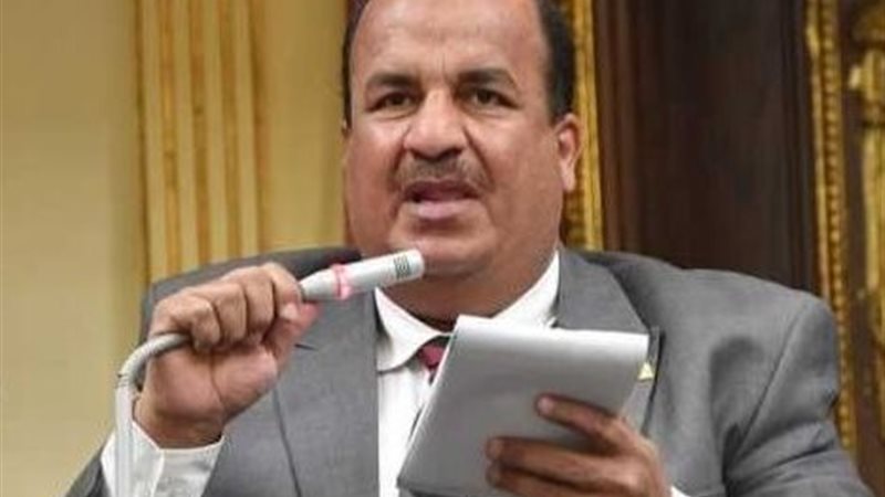 النائب محمد عبد الحميد