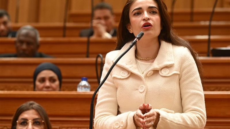 النائبة إيرين سعيد