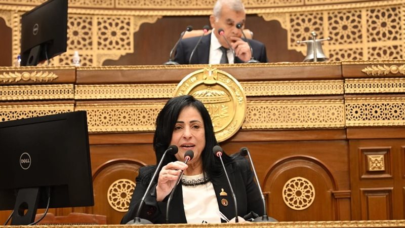 النائبة ميرال الهريدي