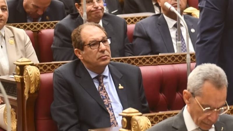 النائب حسام الخولي