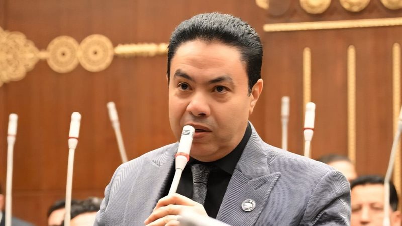 النائب إسماعيل الشرقاوي