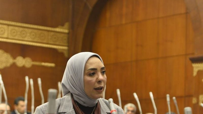 النائبة وفاء رشاد