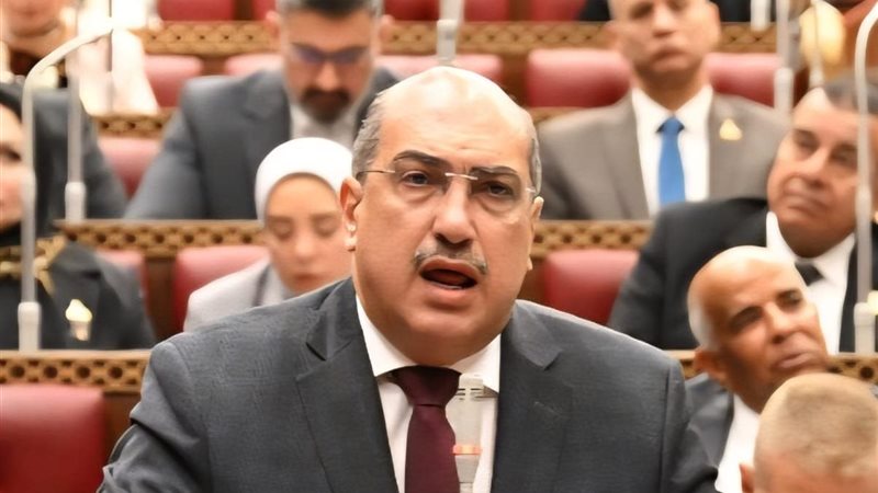 النائب إيهاب وهبة 