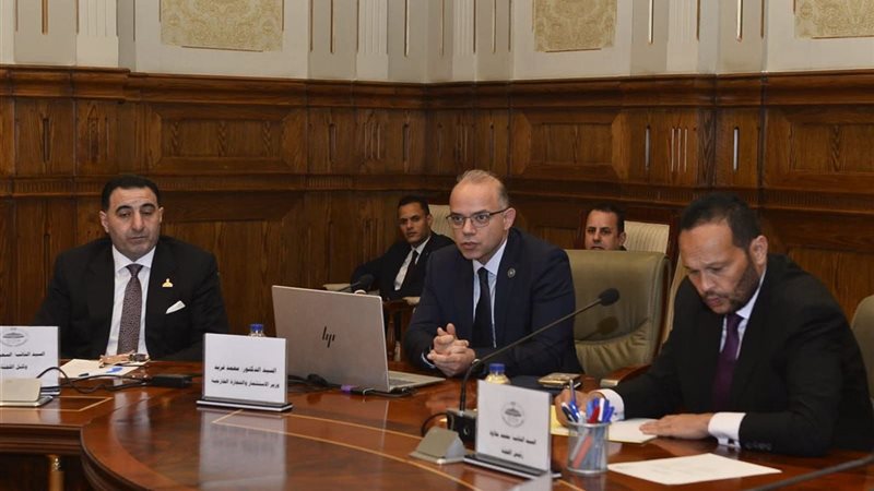 وزير الاستثمار 