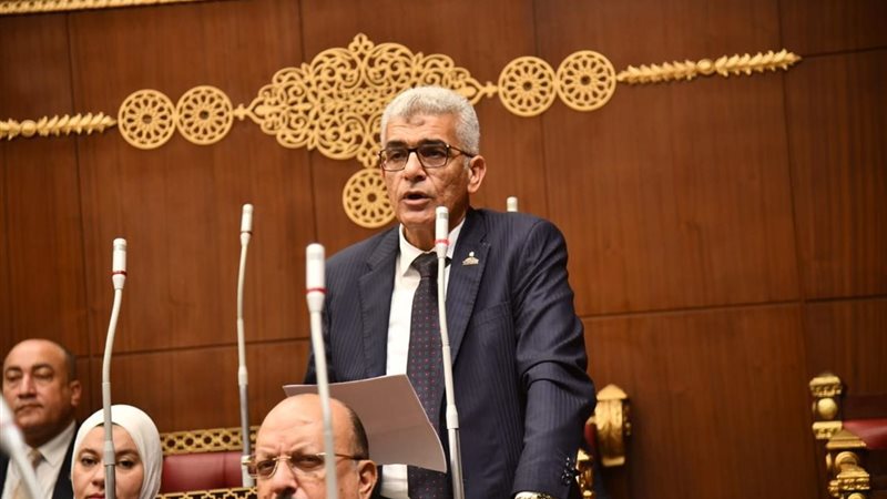  النائب محمد سلامة