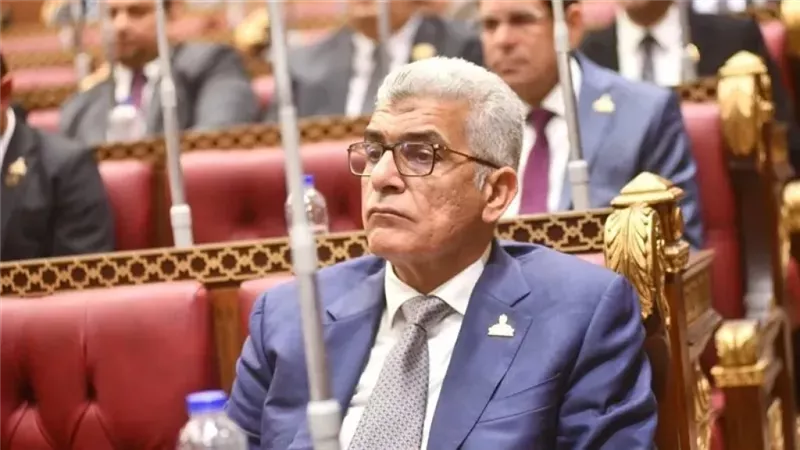 النائب محمد سلامة 