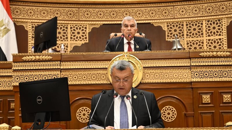 المهندس أسامة كمال 