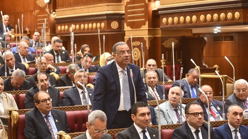 النائب محمود مسلم 