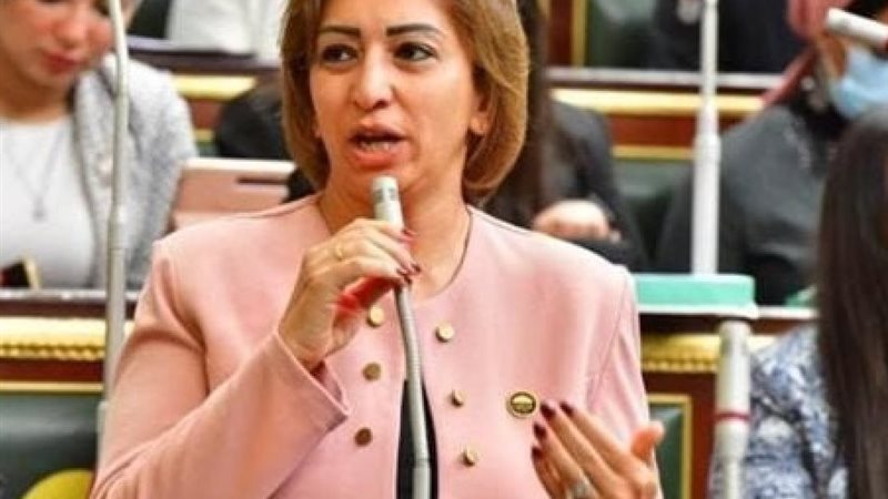 النائبة مها عبد الناصر