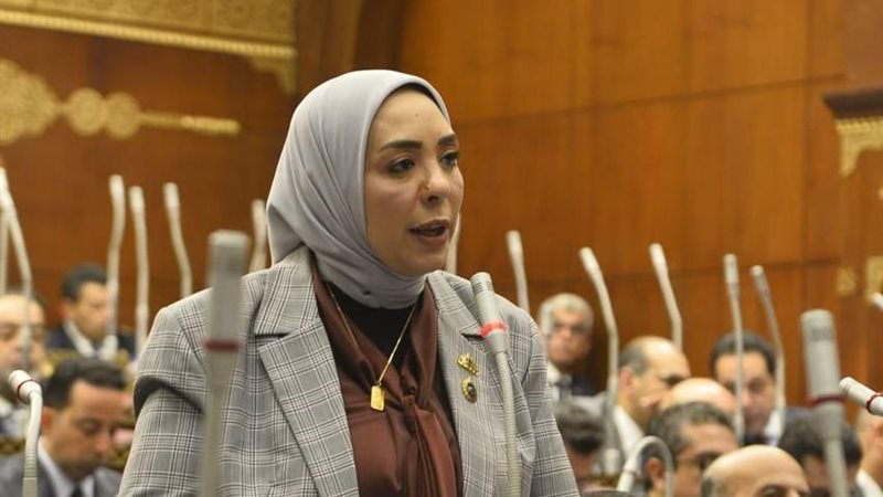 النائبة وفاء رشاد