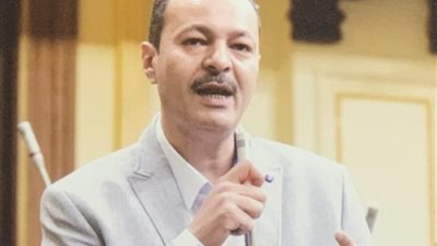 النائب حسن غيته 