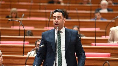 النائب أحمد فرغلي 