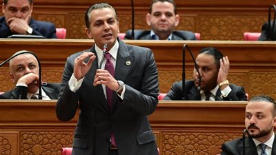 النائب أحمد عبد الجواد  