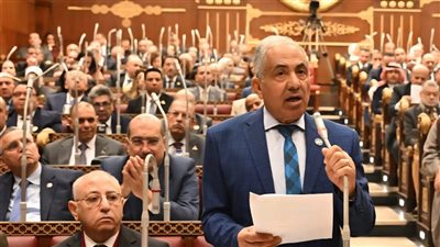 وكيل الشيوخ: التأمين الصحي أحد أهم المشروعات القومية التي تمس المصريين 