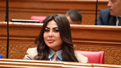 ولاء الصبان: زيارة الرئيس رسالة حاسمة لحماية الأمن القومي المشترك