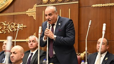 عضو بالشيوخ: العلاقات المصرية الخليجية أقوى من حملات التشويه والأكاذيب