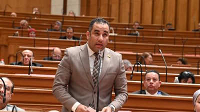 طلب إحاطة برلماني بخصوص ترك حي المرج بدون رئيس وسكرتير عام 