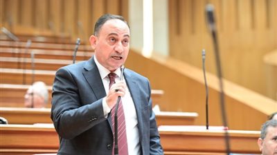 عضو بالنواب يطالب الحكومه بسرعه تنفيذ اليه مكافحه الكلاب الضاله في الشوارع