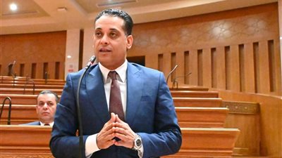 وكيل مشروعات النواب: افتتاح جامعة سنجور يعزز مكانة مصر كمركز إقليمي 
