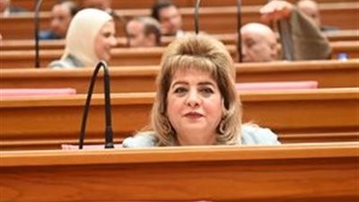 النائبة هناء أنيس رزق الله  