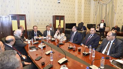 صناعة الشيوخ تناقش طلب النائب إسلام الفيشاوي بشأن أزمات التمويل  