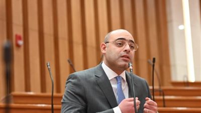 النائب أحمد علاء فايد 