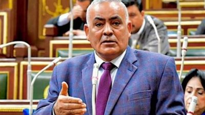 النائب لطفي شحاته 