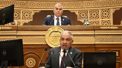 النائب أحمد العوضي 