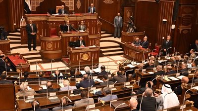 الشيوخ يرفع جلساته ل ٨ يونيو عقب اجازة عيد الاضحى