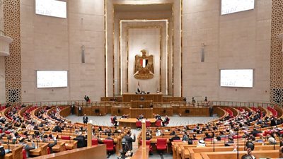 مجلس النواب 