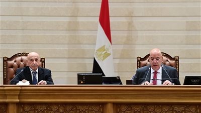 المستشار هشام بدوي وعقيلة صالح  