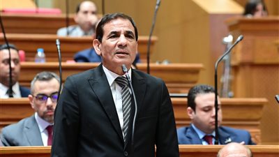 النائب عبد العليم داوود  