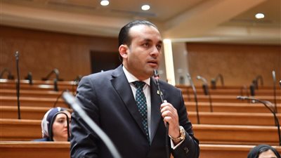 النائب عمرو فهمي 