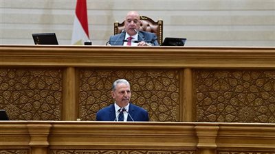  النائب إبراهيم المصري  