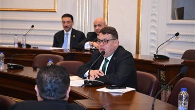 الشيوخ يناقش مقترح إدراج قرية 