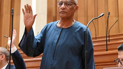 النائب مدحت ركابي 