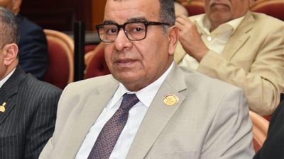 النائب محمود مرجان 