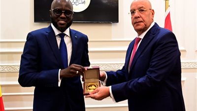 هشام بدوي يلتقي كل من رئيس البرلمان السنغالي وسفراء الدول الأفريقية في مصر